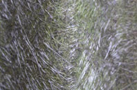 Drayton Beauchamp fibreglass roof work